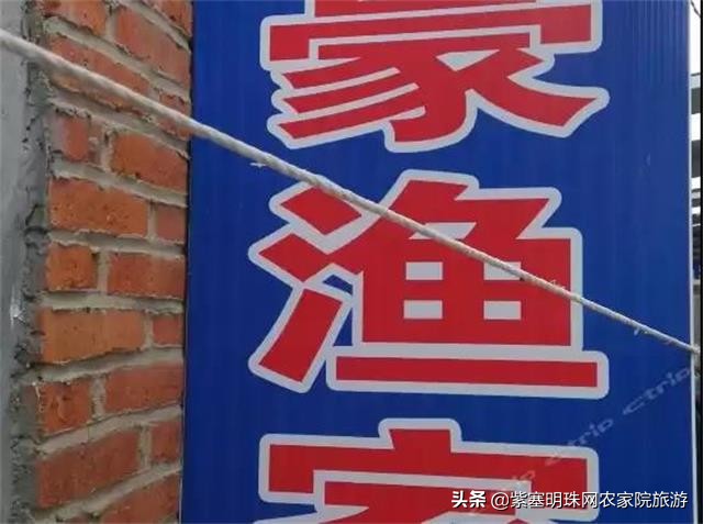 日照文豪渔家乐,日照渔家乐吴家台