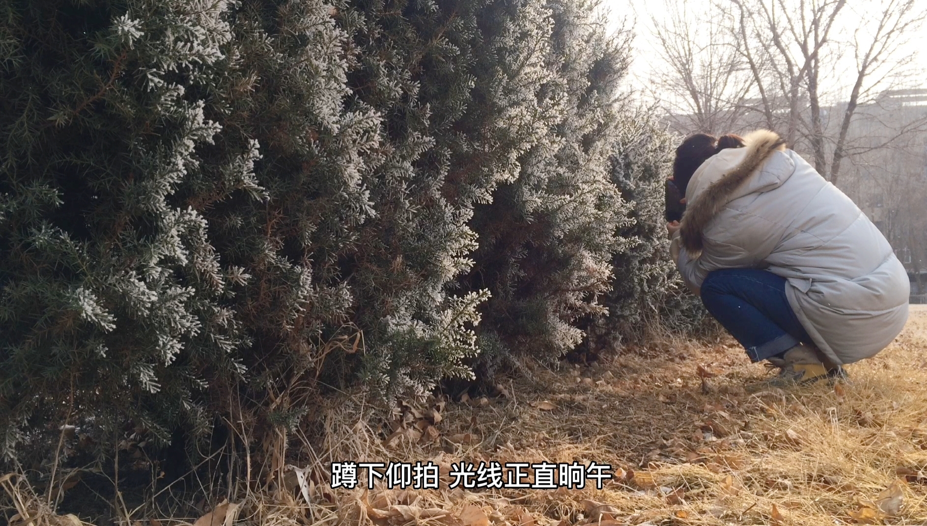 苹果手机拍照需要注意什么,一学就会的iphone手机摄影技巧