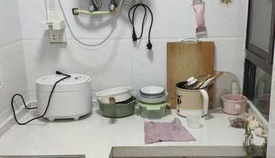 独居做饭电饭煲推荐,一人份米饭电饭煲推荐