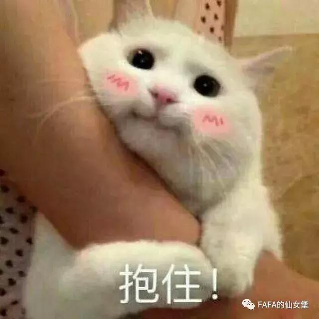 80块钱能买哪些好用的文具,省钱又好用的学习文具