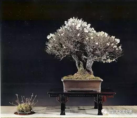 他山之石可以攻玉诗句,他山之石可以攻玉的作品