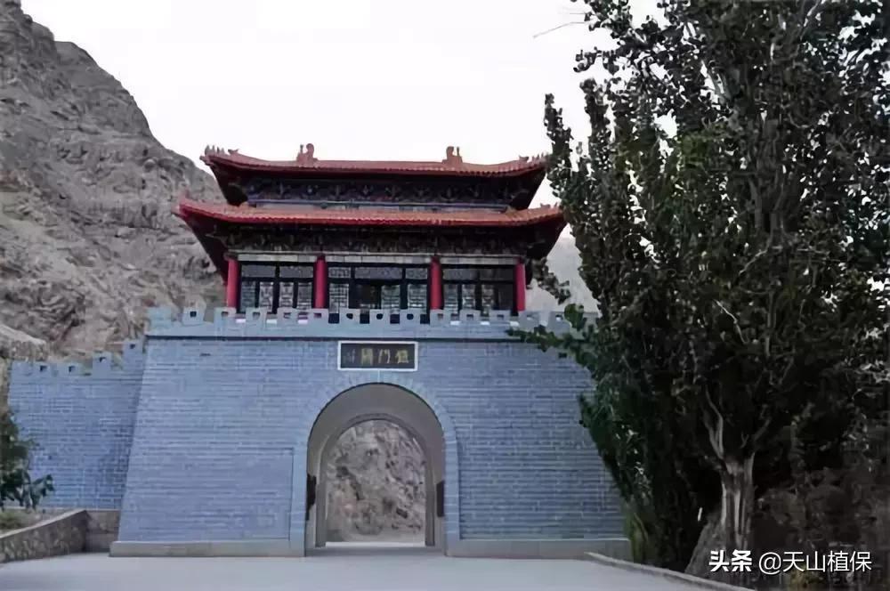 *疆新**库尔勒彻底火了！登上央视让世界瞩目，为库尔勒而骄傲