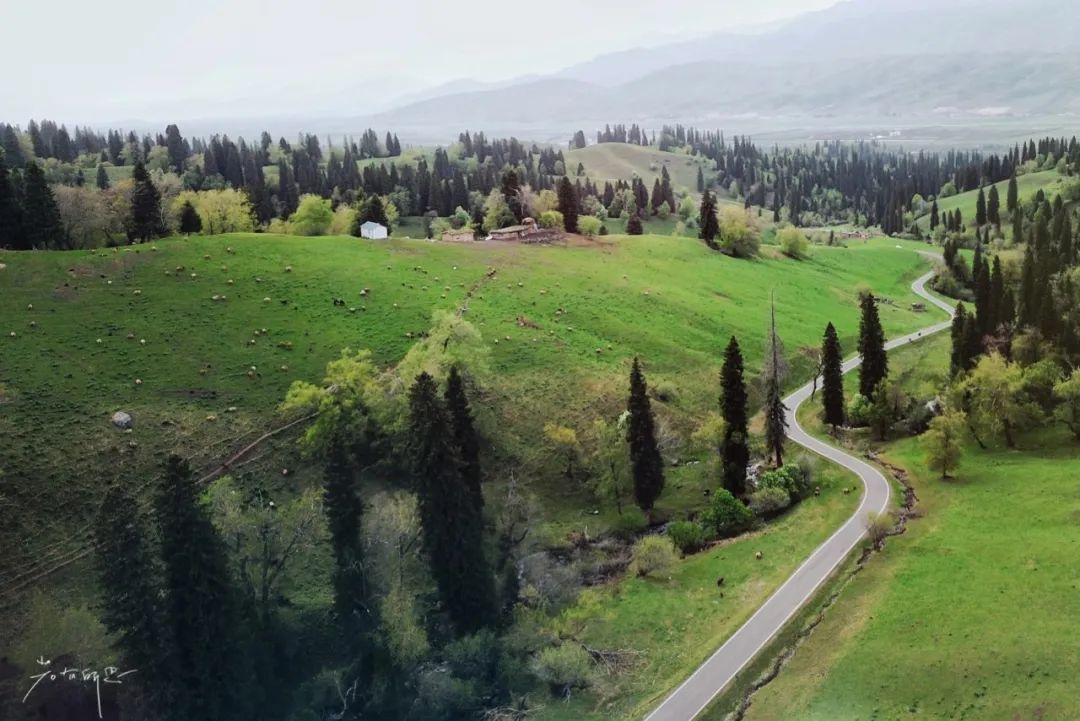 那拉提草原旅游徒步攻略,如何游玩那拉提