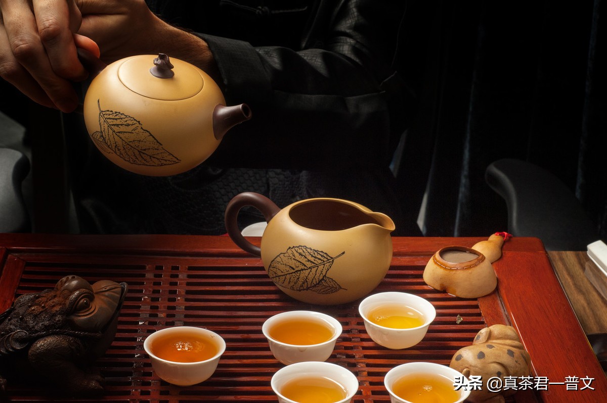 秋天喝野生红茶,秋天喝什么茶好喝又不上火