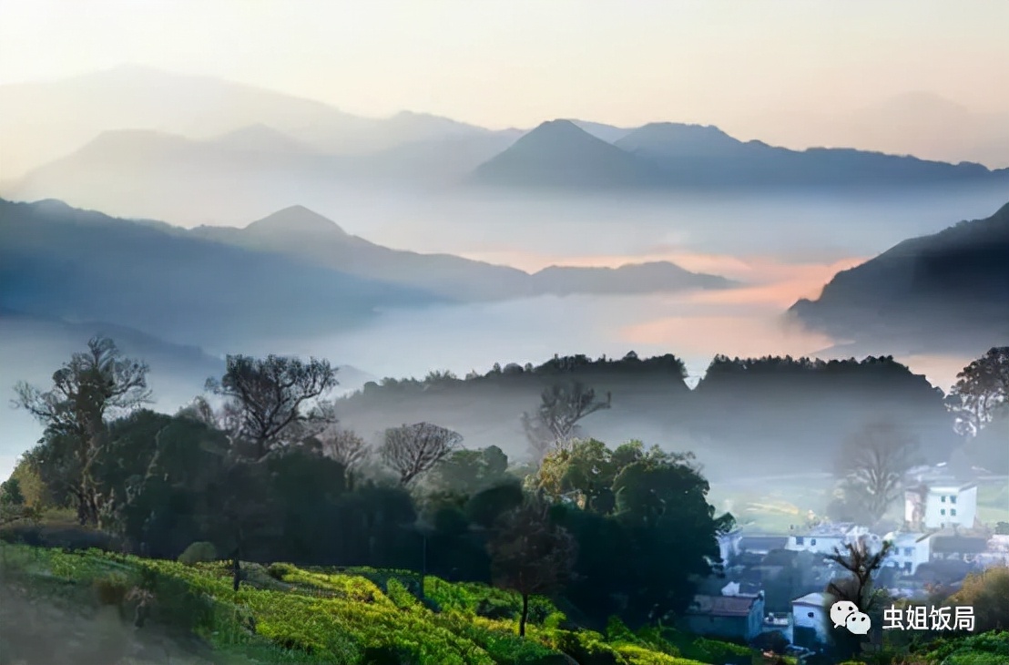婺源市区游玩,婺源本地人攻略