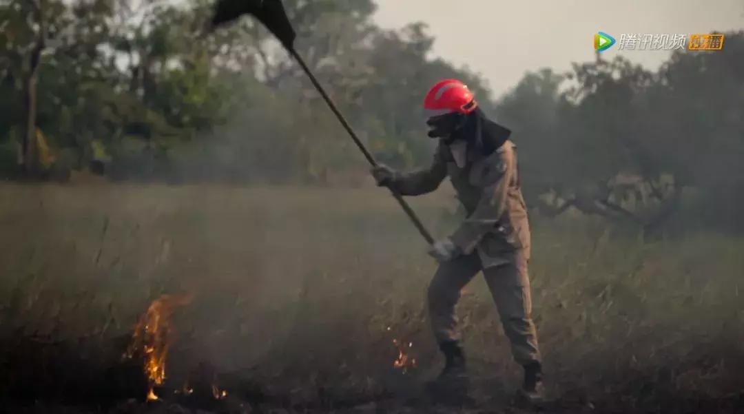 人在逆境要懂得坚持,面对逆境向阳而生