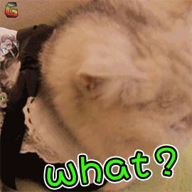 这3种卫生巾女性朋友最好不要买,卫生巾十大禁用