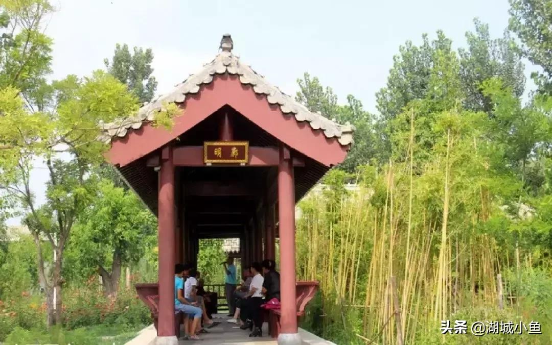 我叫枣强!这是我的最新简历