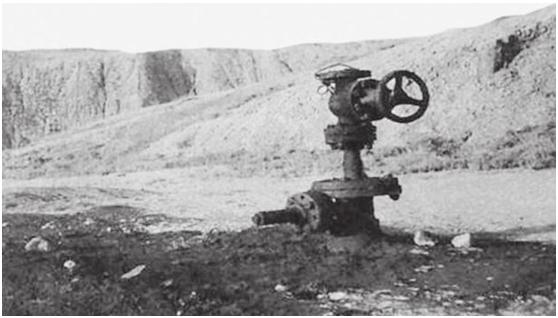 独山子石油企业,独山子石化有多少个企业