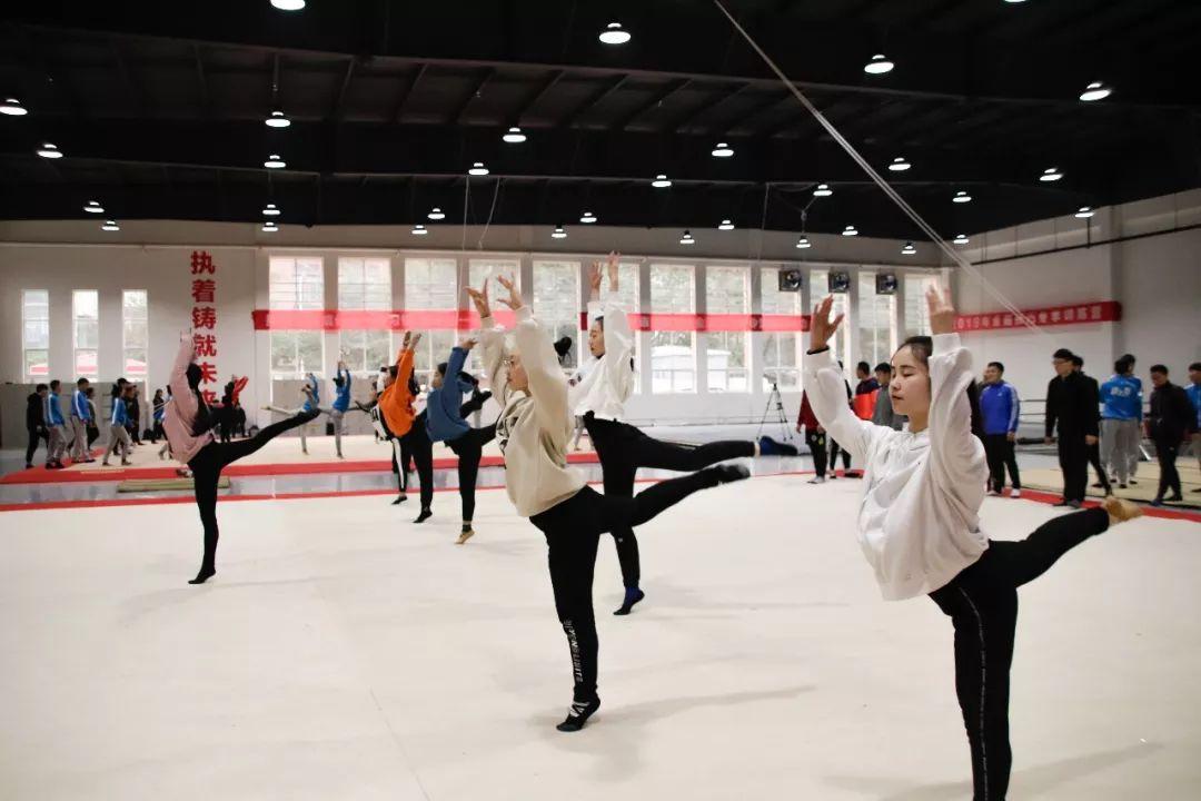 训练营采访,训练营访谈