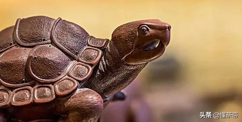 茶宠摆放讲究十二生肖,茶宠摆放有什么讲究和禁忌