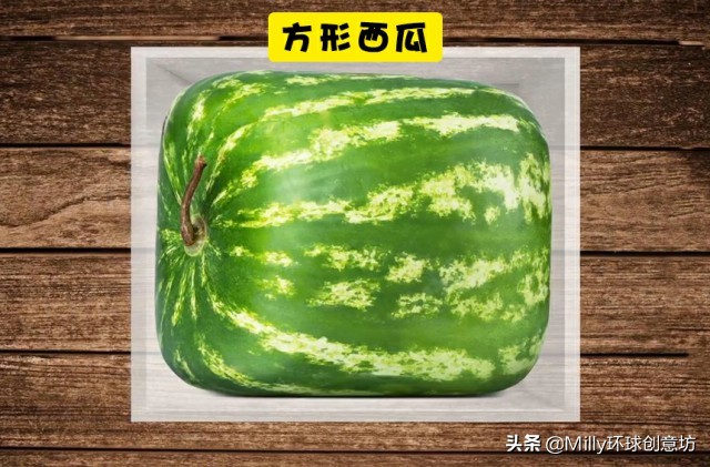 日本家庭奇葩现象,去了趟日本发现几个奇怪现象