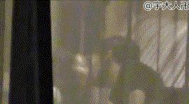 王菲谢霆锋合体想谈什么样的恋爱,王菲谢霆锋一反常态高调秀恩爱