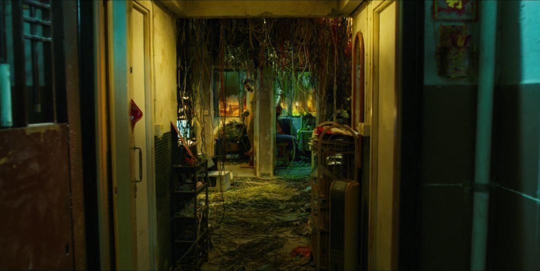 5部近年口碑很好的国产片 (今年哪些值得期待的国产片)