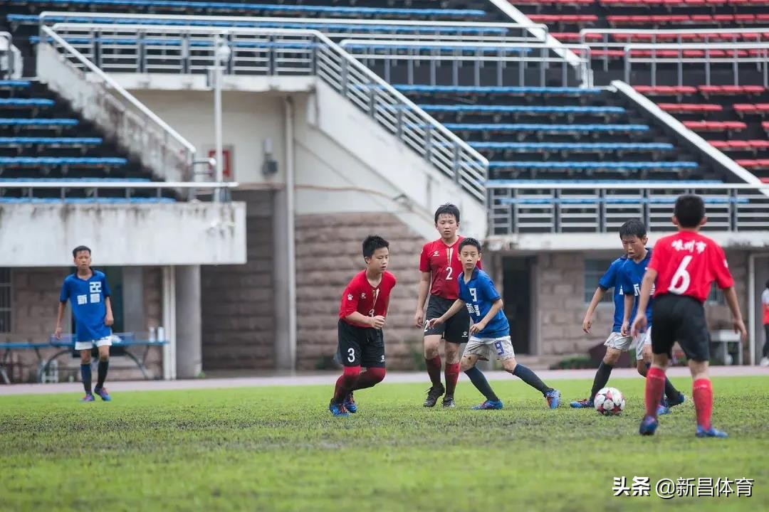 激情绿茵运动会入场,绍兴青少年足球锦标赛