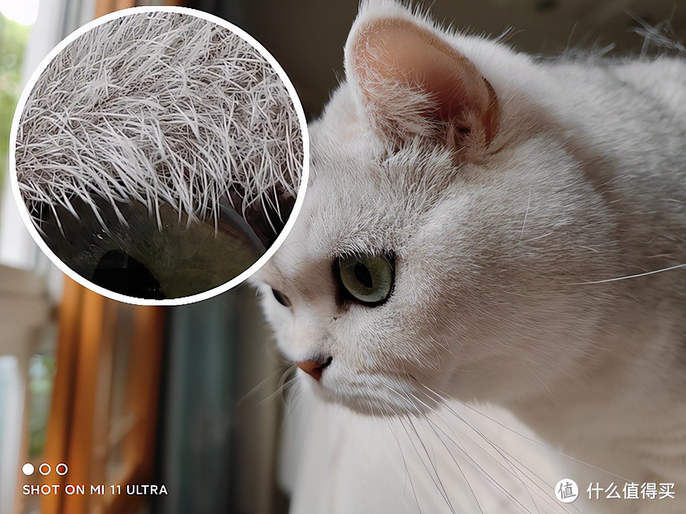 小米11ultra至尊版讲解,小米10至尊和小米11ultra拍照对比