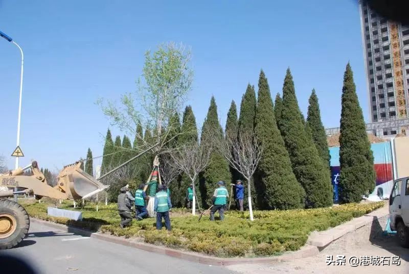 向坚守岗位的一线工人致敬,向坚守在户外的劳动者致敬