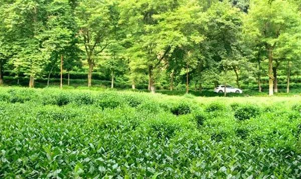 杭州新玩法,杭州人少最值得玩的地方