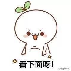 侃名联、问诸葛，海外媒体眼中的武侯祠是怎样的？