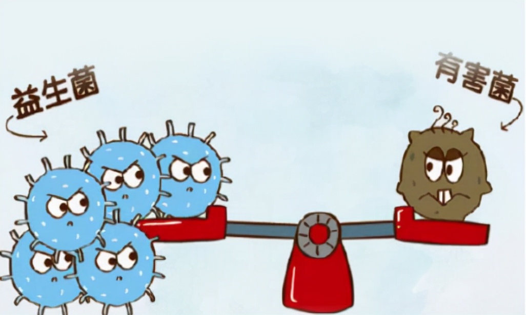 教你正确选择益生菌,如何选择正确的益生菌