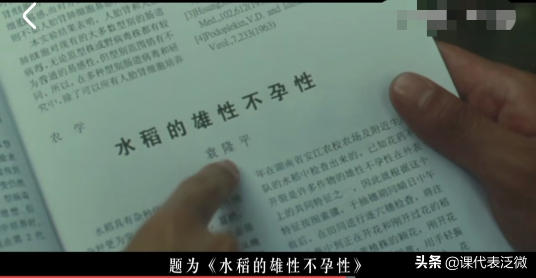 你不知道的袁隆平：浪里白条、预备飞行员、油炸鬼、臭水沟捞宝贝