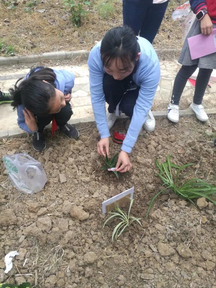 南京比较好的小学学校排名,南京名校小学最新排名