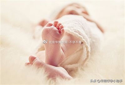 胎儿性别发育好神奇！那生男生女能人为控制吗？