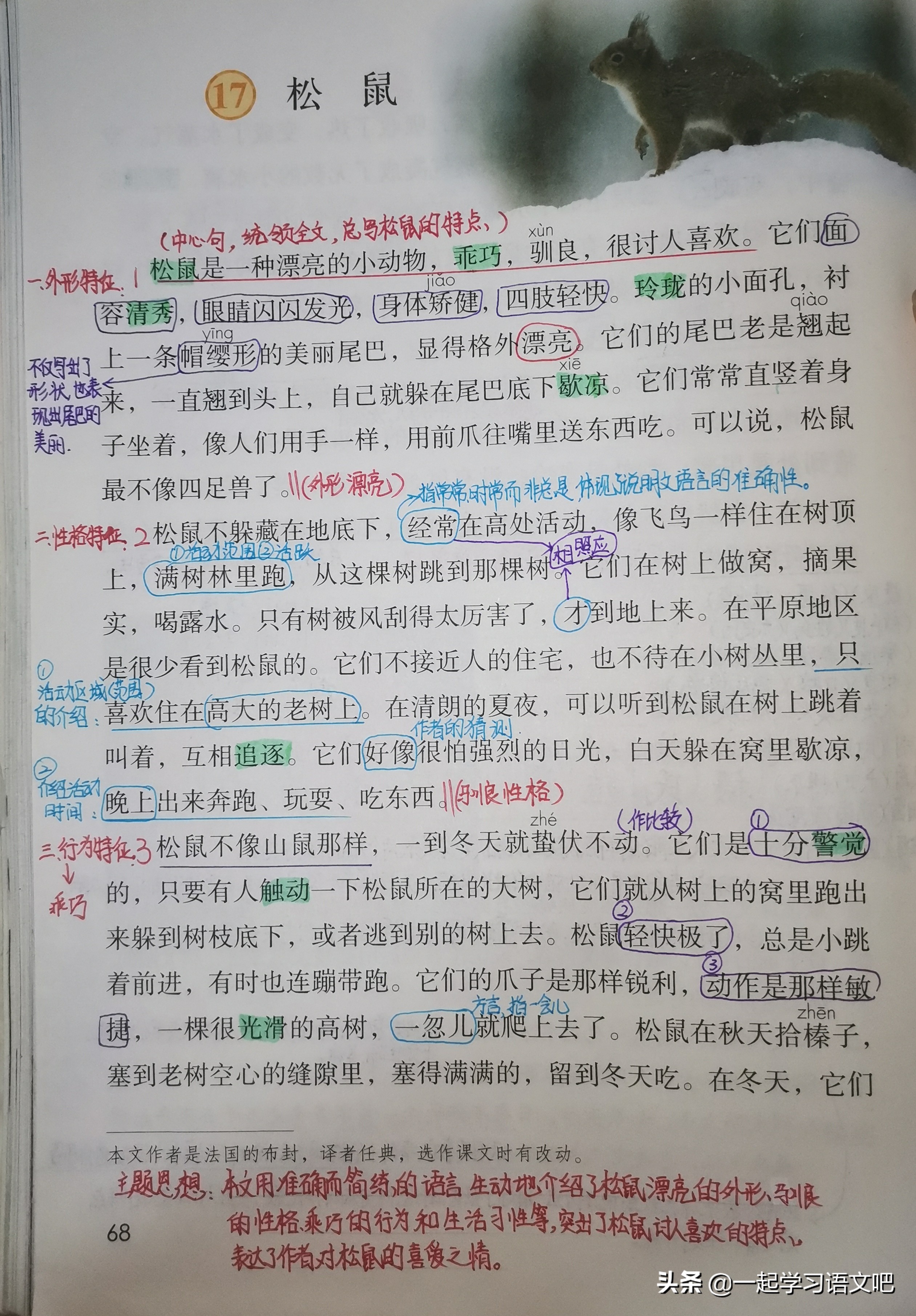 松鼠课堂笔记五年级思维导图,五年级上册17课松鼠思维导图