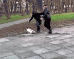 女生必备的奢侈品手链 (轻奢奢华手链)