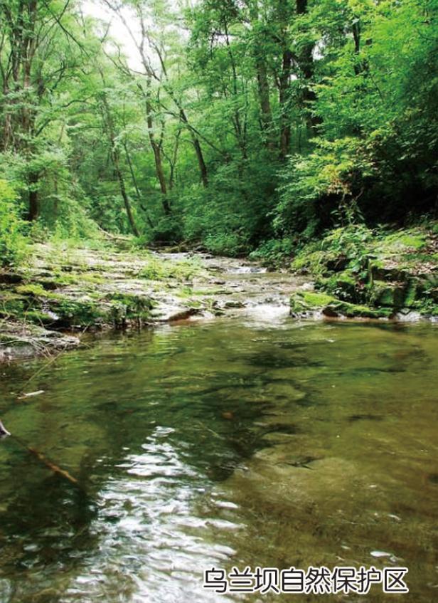 投资兴业沃土蕴藏无限商机——了解一下巴林左旗