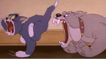 日本最好用的精华原液,日本十大抗老精华液排行榜