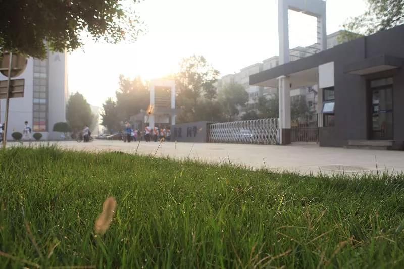 天津市河西区高级中学,天津高级中学排行