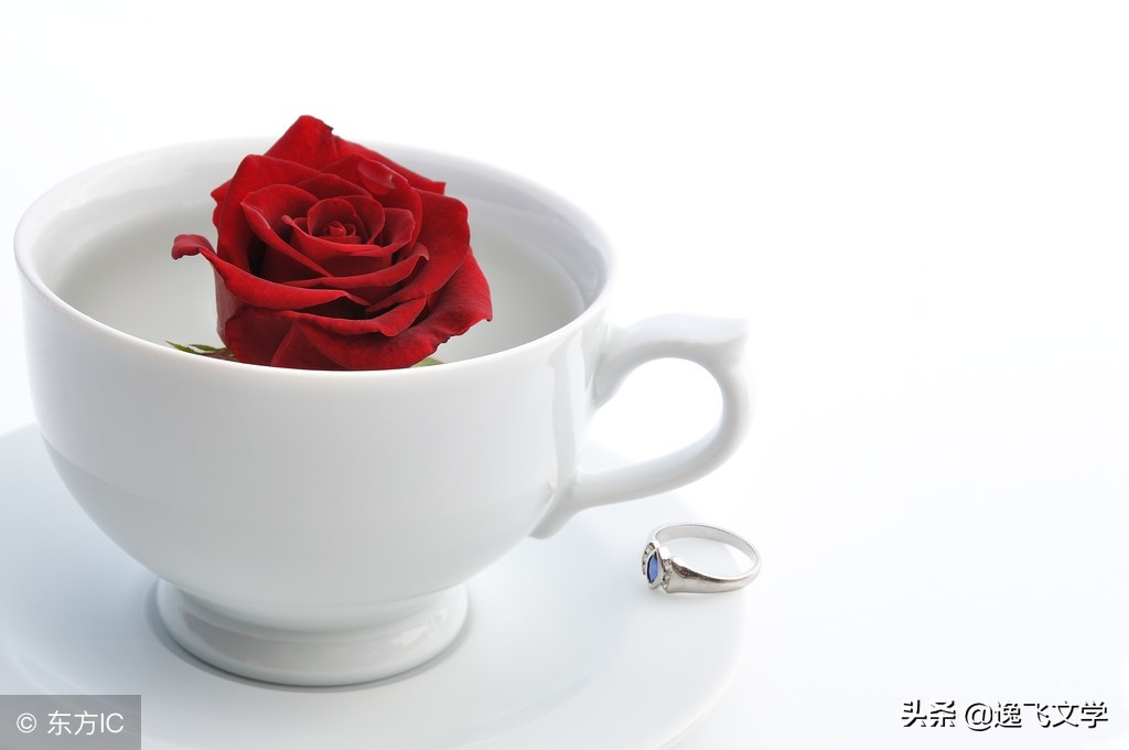 散文爱是一种无法忘记的痛,散文爱