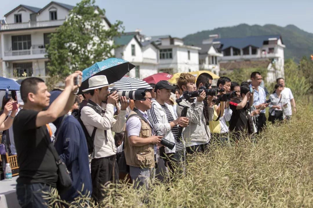 以文化引领促乡村振兴,万力武夷山康养旅游基地