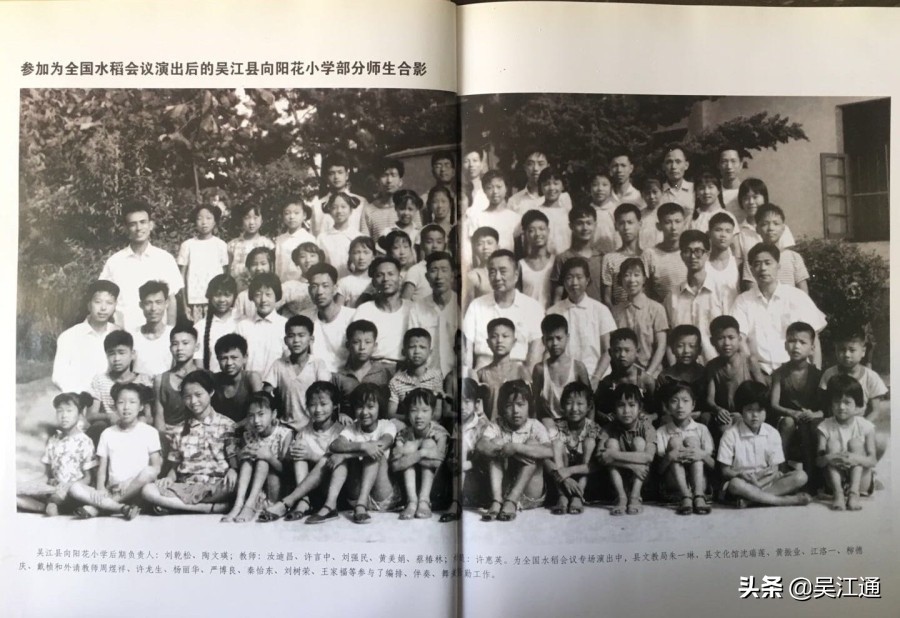 你可曾听说过向阳花小学？那可是当时的网红哦！