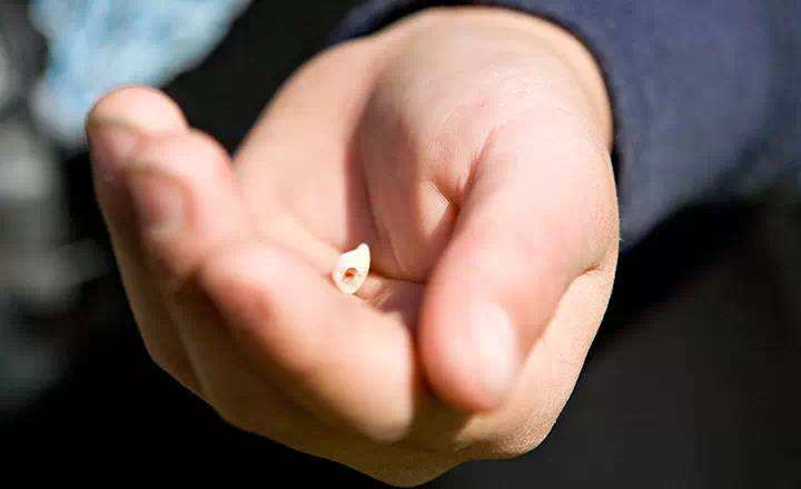 70岁老人拔牙注意事项与禁忌症,拔牙过程的操作步骤及注意事项