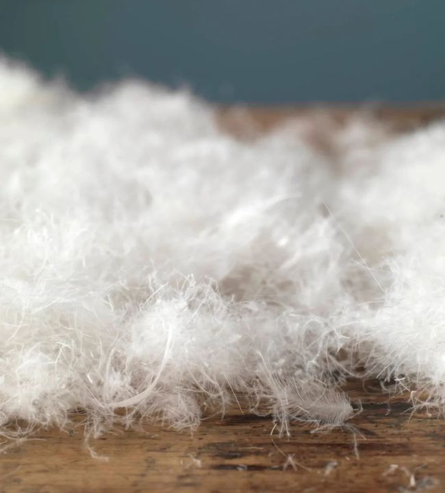 tnf羽绒服都有什么款,别再穿烂大街的小白鞋了