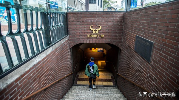 邮轮游选择哪个游轮好,邮轮旅游全攻略公主号