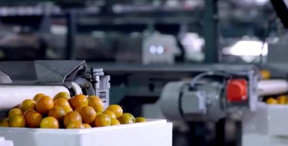 顺丰规模经济,顺丰物流绿色包装的发展趋势