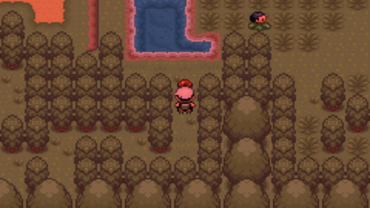 口袋妖怪究极绿宝石4五周目攻略,口袋妖怪究极绿宝石4最详细攻略