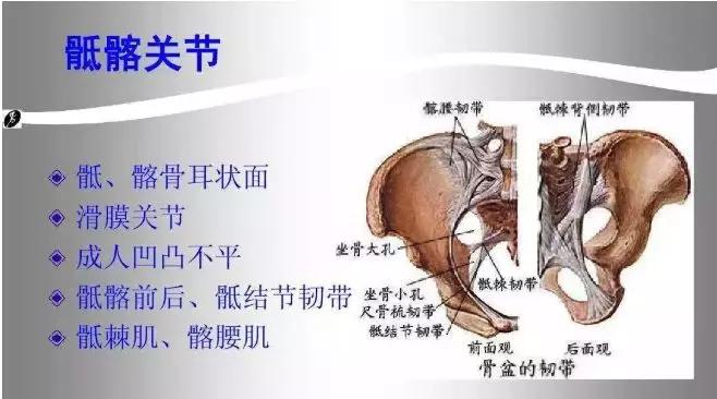 骶髂关节轻微错位有症状么,骶髂关节错位腰疼运动