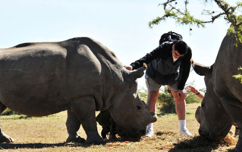 nba巨人都是什么样的,nba球星巨人身材