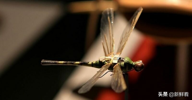 1974年美国如何用“蜻蜓”*听窃**，中情局CIA间谍器材解密