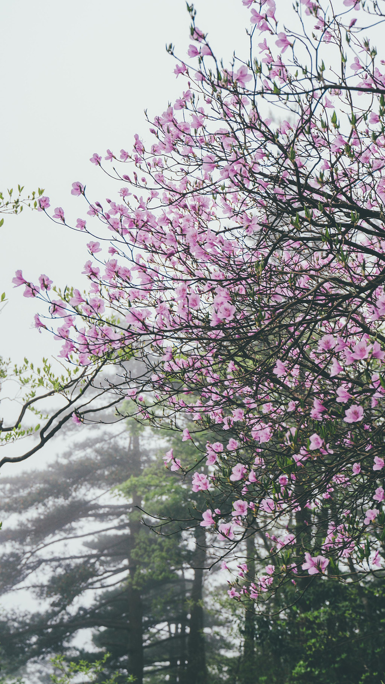 安徽天柱山有哪些好玩的景点推荐,安徽天柱山附近还有什么山