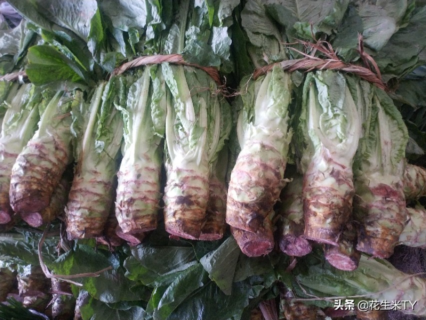 10月8日南宁海吉星蔬菜批发价格表,南宁海吉星水果批发今日报价表