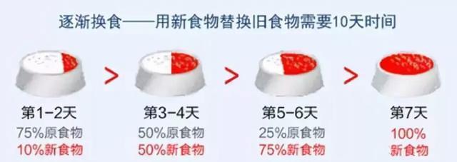 猫主子拉粑粑拉出血是怎么回事,猫拉稀呕吐精神不振没有食欲