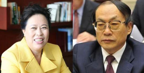 山西女富豪丁书苗落幕：从农村卖鸡蛋，到被罚25亿，她做了什么