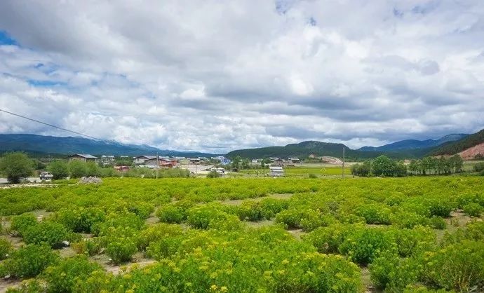 养心养肺之旅,静心养肺养心