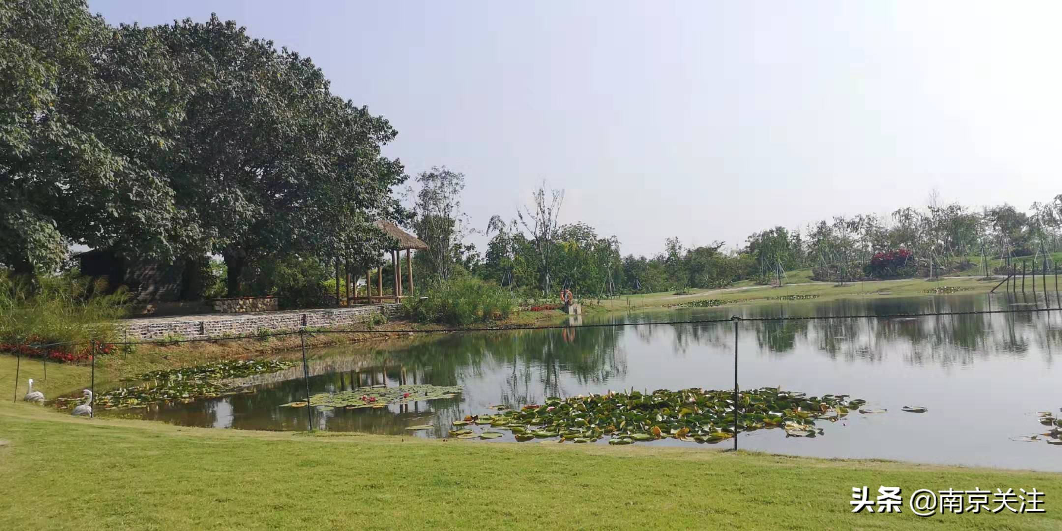 溧水三叶梦华苑有哪些好玩的地方,溧水三叶梦华苑秋天看什么