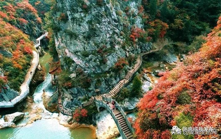 我叫成县,这是我2019年的自拍照